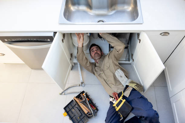 Best Clogged Drain Plumber  in Oakwood Hls, IL