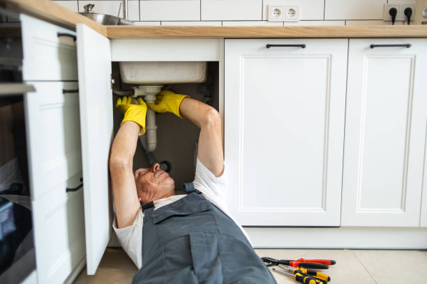 Best Residential Plumbing Services  in Oakwood Hls, IL