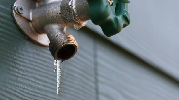 Best Water Heater Repair  in Oakwood Hls, IL