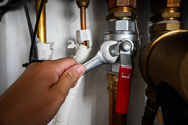 Best Same-Day Plumbing Service  in Oakwood Hls, IL